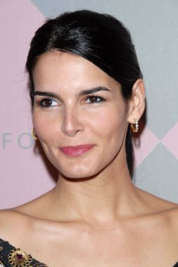 Angie harmon
