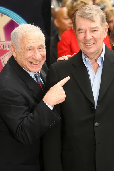 Mel Brooks and Alan Ladd Jr. at the award ceremony honoring Alan Ladd Jr. with a star on the Hollywood Walk of Fame. Hollywood Blvd., Hollywood, CA. 09-28-07 — Stock fotografie