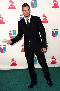 Ricky Martin