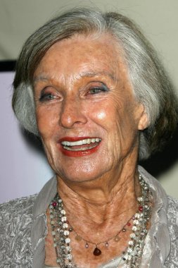 senaryo yazarı