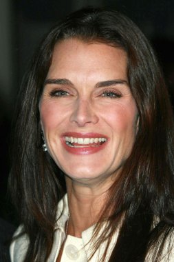Brooke Shields'in Başkan Yardımcısı al gore onurlandıran oceana ortağının ödül töreni'nde. özel konut, pacific palisades, ca. 10-05-07