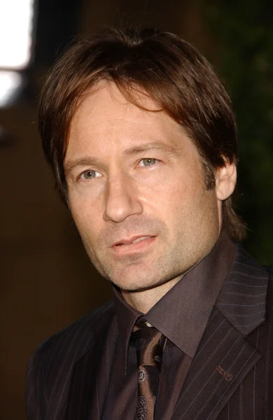 David Duchovny at the Los Angeles Premiere of "Things We Lost In The Fire". Egyptian Theatre, Hollywood, CA. 10-15-07 — Stock Photo, Image