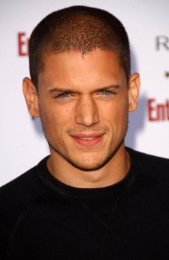 Wentworth Miller
