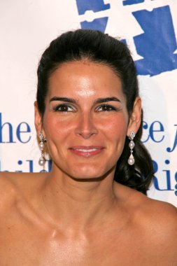 Angie harmon