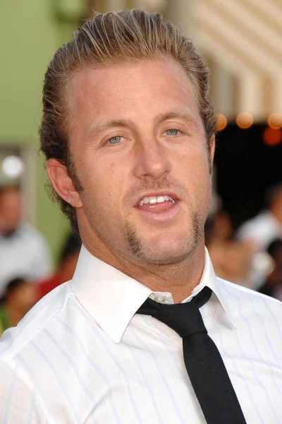 Scott Caan Ordförande — Stockfoto