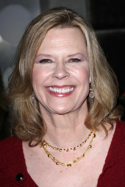 JoBeth Williams at the 14th Annual Screen Actors Guild Awards Nominations. Pacific Design Center, West Hollywood, CA. 12-20-07 — Stock Photo, Image