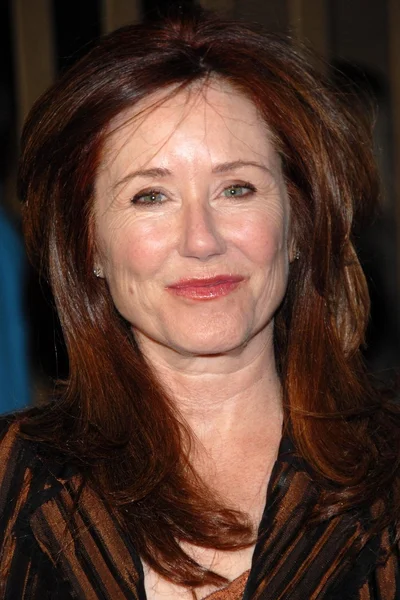 Mary McDonnell na estreia de Los Angeles de "The Kite Runner". Teatro Egípcio, Hollywood, CA. 12-04-07 — Fotografia de Stock