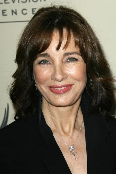 Anne Archer — Stok fotoğraf