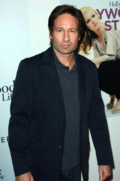 David Duchovny at Movieline's 4th Annual Hollywood Life Style Awards. Pacific Design Center, West Hollywood, CA. 10-07-07 — Stock fotografie