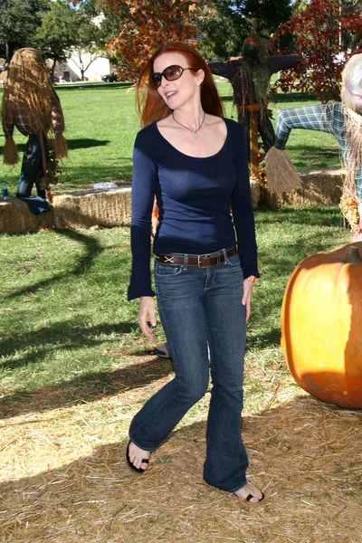 Marcia Cross — Zdjęcie stockowe