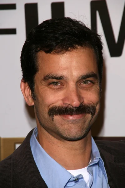 Johnathon Schaech en el estreno en Los Ángeles de "The Great Debaters". Arclight Cinerama Dome, Hollywood, CA. 12-11-07 — Foto de Stock