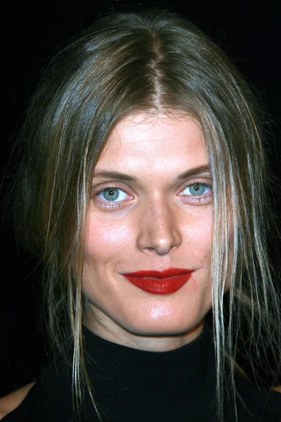 Malgosia bela bei der Premiere von "Liebe in Zeiten der Cholera" auf dem afi fest 2007. afi fest dahoam village, hollywood, ca. 07.11.11 — Stockfoto