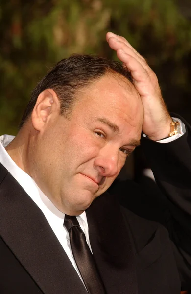 James Gandolfini — Stock Photo, Image