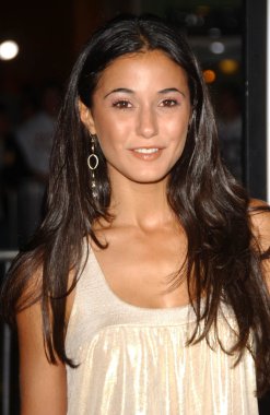 Emmanuelle chriqui 