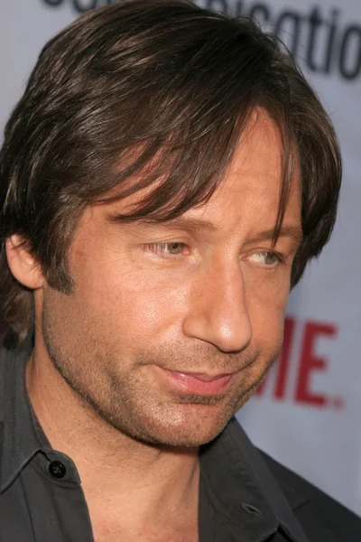 David Duchovny. —  Fotos de Stock