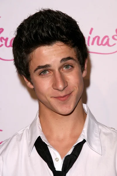 David Henrie — Stock Photo, Image