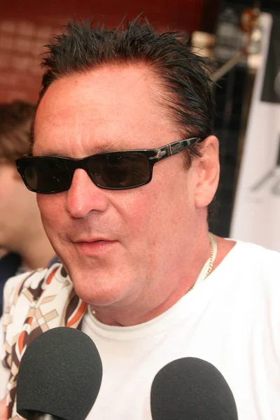 Michael Madsen. — Foto Stock