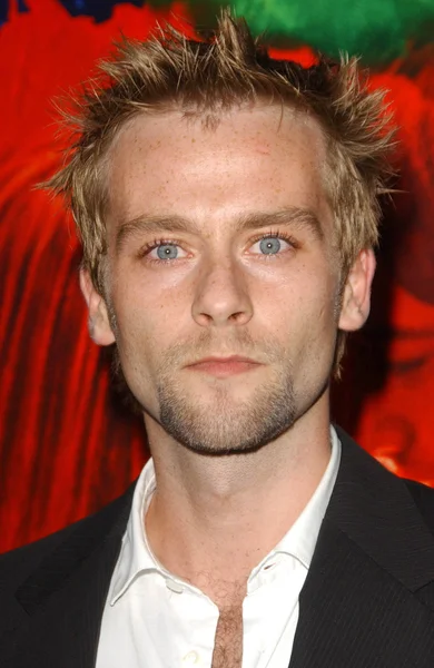 Joe Anderson na exibição especial de "Across The Universe". Teatro Egípcio, Hollywood, CA. 09-18-07 — Fotografia de Stock