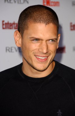Wentworth Miller