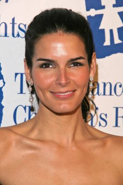 Angie harmon