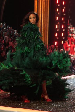 Noemie Lenoir at the 12th Annual Victorias Secret Fashion Show. Kodak Theatre, Hollywood, CA. 11-15-07