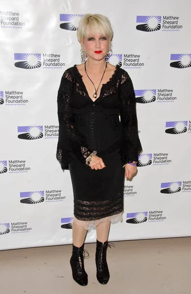 Cyndi Lauper at the Matthew Shepard Foundation Honors. Wiltern Theatre, Hollywood, CA. 10-27-07 — Stok fotoğraf