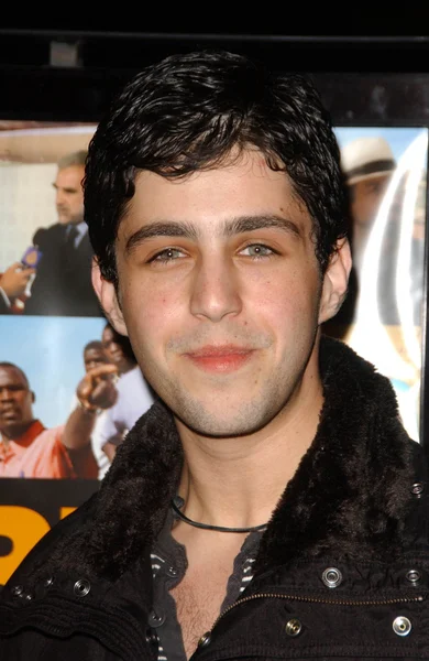 Josh Peck at the special screening of "Darfur Now". Directors Guild Of America, Los Angeles, CA. 10-30-07 — Stock Photo, Image