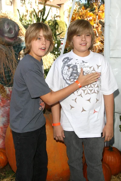 Dylan Sprouse y Cole Sprouse en el Camp Ronald McDonald 15º Carnaval Anual de Halloween Familiar. Wadsworth Great Lawn, Westwood, CA. 10-21-07 — Foto de Stock