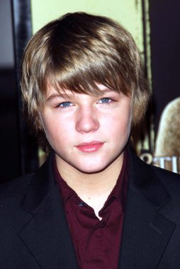 Miles Heizer, 