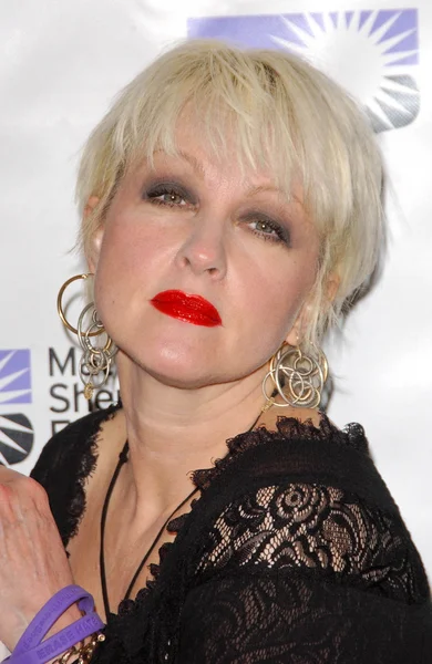 Cyndi Lauper at the Matthew Shepard Foundation Honors. Wiltern Theatre, Hollywood, CA. 10-27-07 — Stock Photo, Image