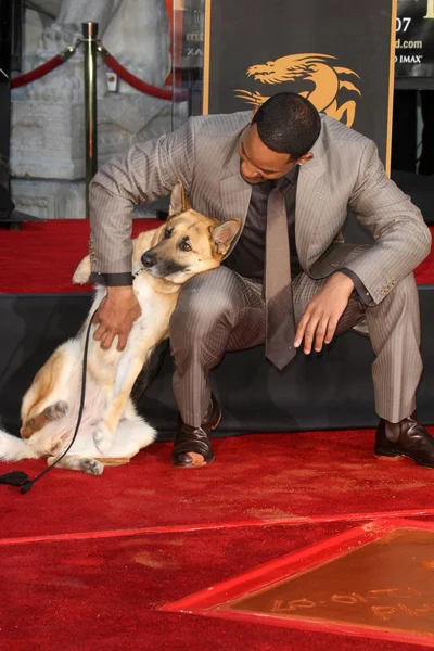 Will Smith with Abbey his co-star in the film "I Am Legend" — Stock Photo, Image