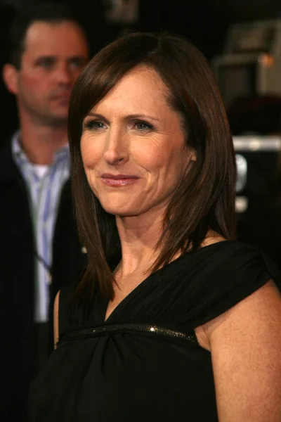 Molly Shannon at the Los Angeles Premiere of "Walk Hard The Dewey Cox Story". Grauman's Chinese Theatre, Hollywood, CA. 12-12-07 — Stock Photo, Image