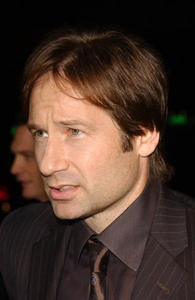 David Duchovny no Los Angeles Premiere de "Things We Lost In The Fire". Teatro Egípcio, Hollywood, CA. 10-15-07 — Fotografia de Stock