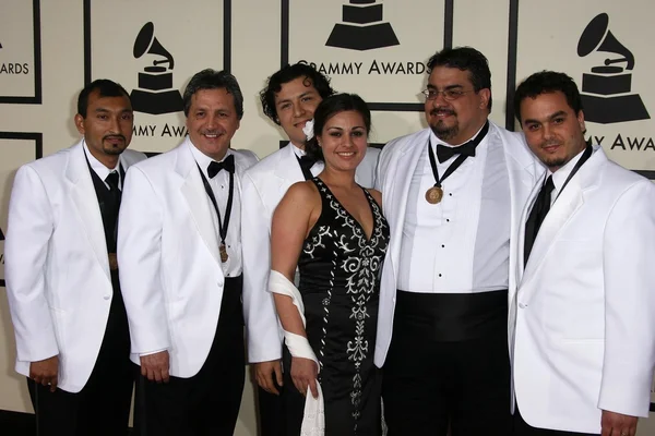 Ensemble di Sones de Messico — Foto Stock