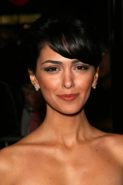 Nazanin Boniadi — Stockfoto