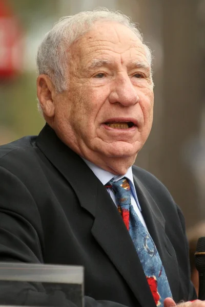 Mel Brooks en la ceremonia de entrega de premios en honor a Alan Ladd Jr. con una estrella en el Paseo de la Fama de Hollywood. Hollywood Blvd., Hollywood, CA. 09-28-07 — Foto de Stock