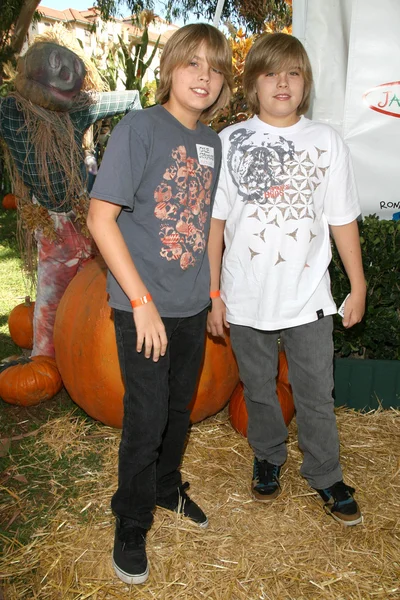 Dylan sprossen und cole sprossen im camp ronald mcdonald 15. jährliche familie halloween karneval. wadsworth toller Rasen, westwood, ca. 21-10-07 — Stockfoto