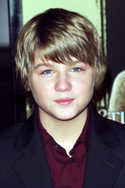 Miles Heizer, 