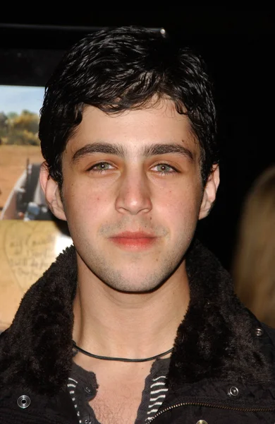 Josh Peck na exibição especial de "Darfur Now". Directors Guild Of America, Los Angeles, CA. 10-30-07 — Fotografia de Stock