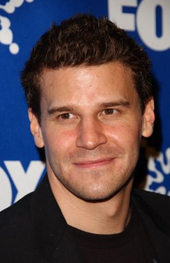 David Boreanaz