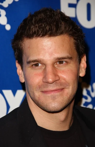 David Boreanaz — Stock Photo, Image