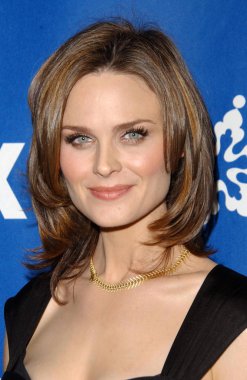 fox all-star Kış 2007 tca basın turu partisi