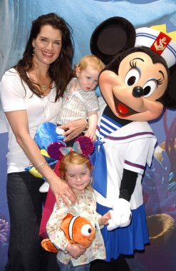 disneyland açılış bulma'nın 