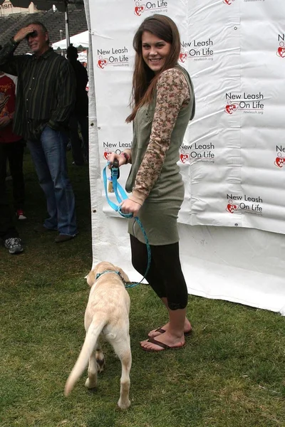 6. jährliche Hundeausstellung und Heimtiermesse "Nüsse für Mutts" — Stockfoto