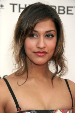 Janina Gavankar