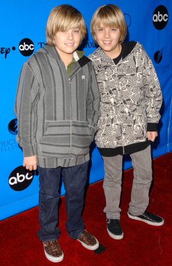 Disney - abc televizyon grup 