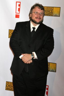 12 yıllık critics'choice Ödülleri