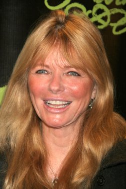 Cheryl Tiegs
