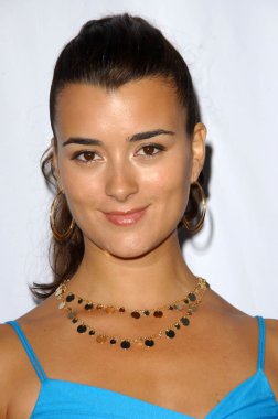 TCA 2007 cbs yaz basın turu