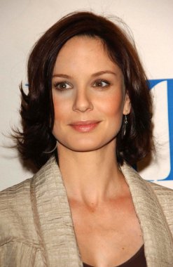 Sarah Wayne Callies